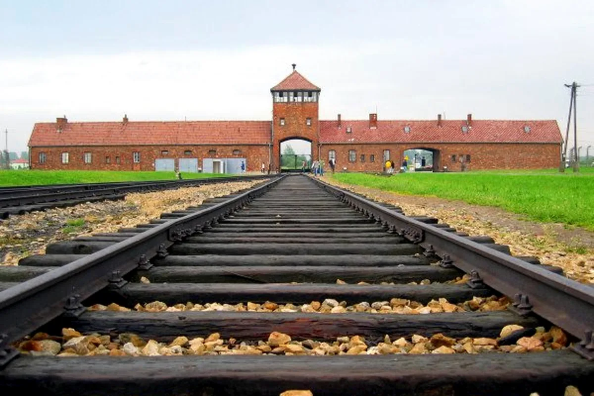 Transfer z Krakowa do Muzeum Auschwitz-Birkenau